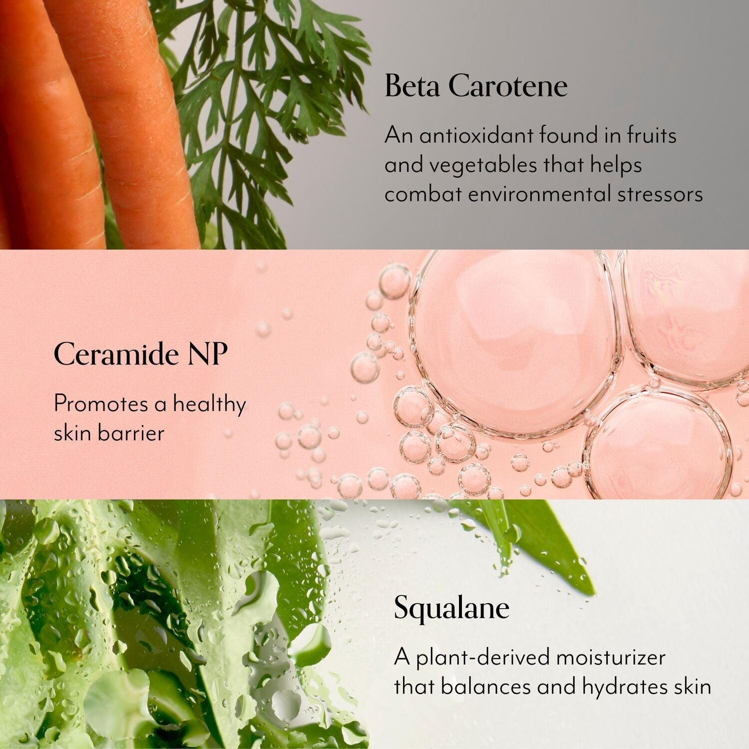 Mighty Biome Skin Barrier Toner + Serum