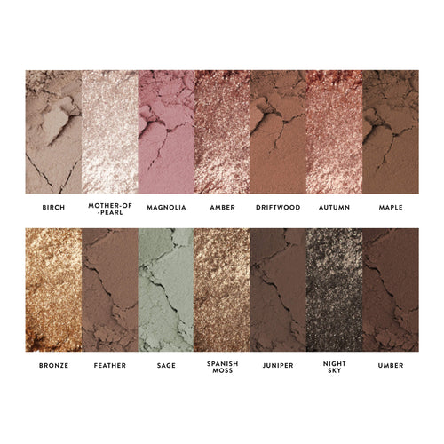 All Day Eye Kit (5 PC)