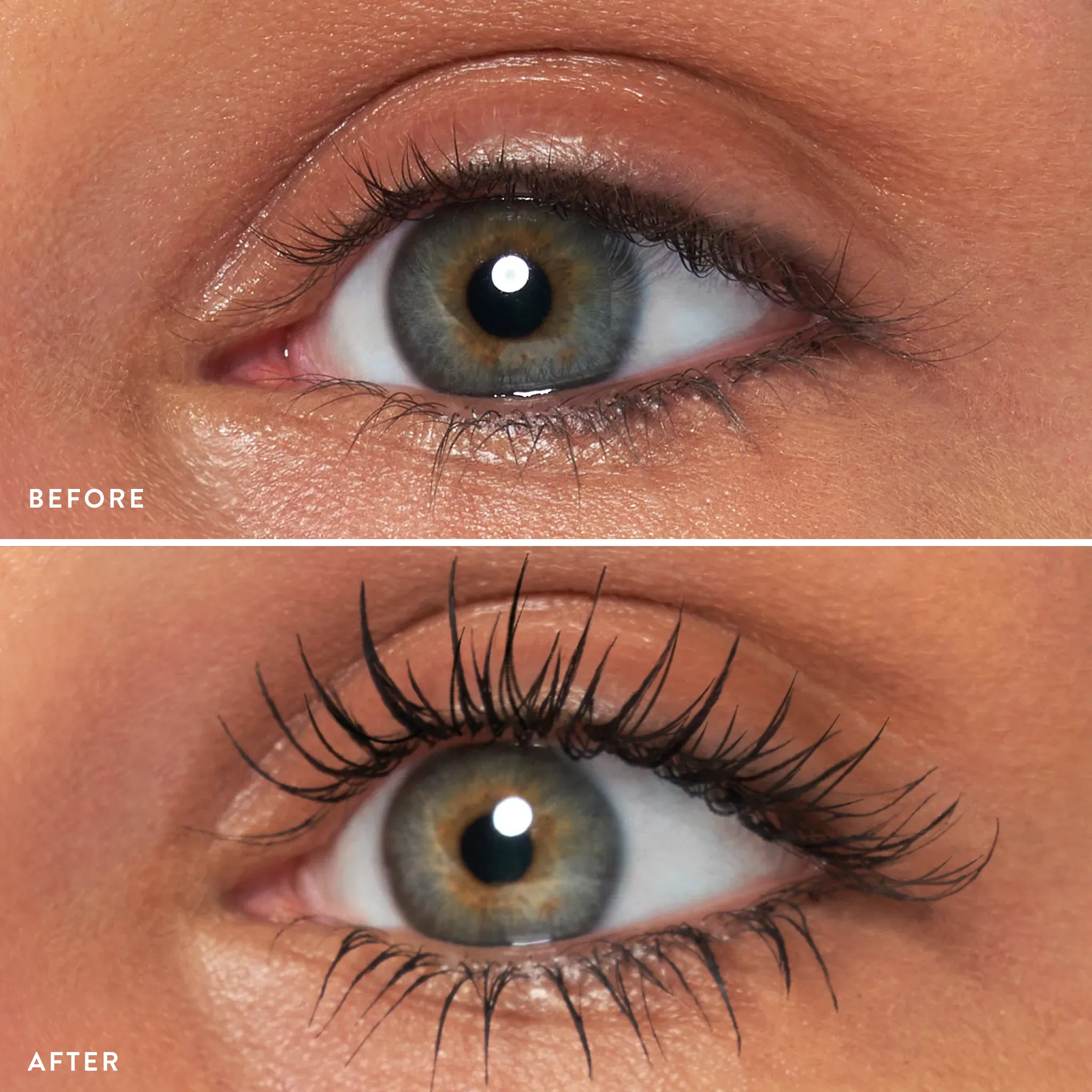 Laura’s 3 E’s: Eyebrows, Eyelash & Eyeliner Kit (3PC)